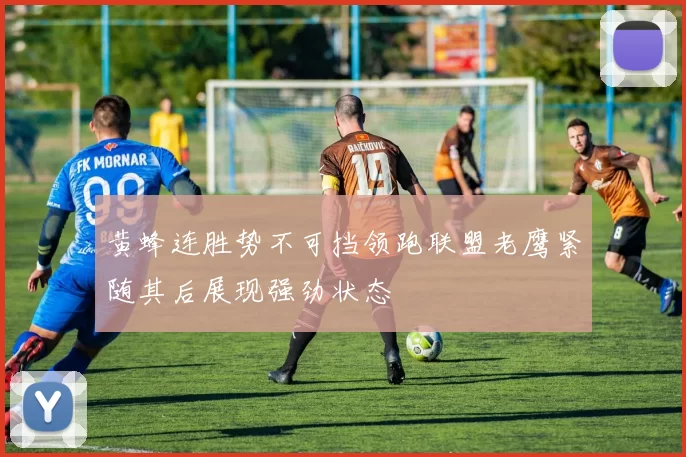 黄蜂连胜势不可挡领跑联盟老鹰紧随其后展现强劲状态