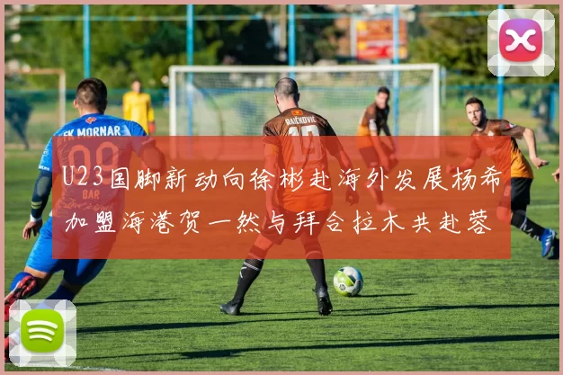 U23国脚新动向徐彬赴海外发展杨希加盟海港贺一然与拜合拉木共赴蓉城