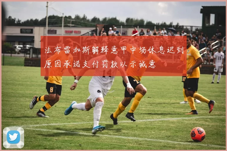 法布雷加斯解释意甲中场休息迟到原因承诺支付罚款以示诚意