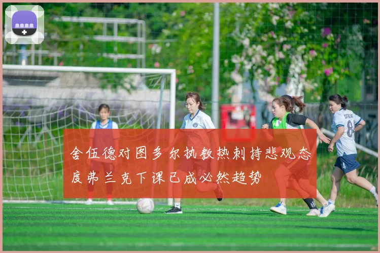 舍伍德对图多尔执教热刺持悲观态度弗兰克下课已成必然趋势